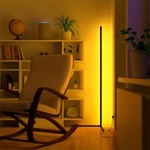 Intelligente abnehmbare Eck-RGB-Stehlampe BGL LDD02-4