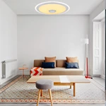Smart Rainbow Music Ceiling Lamp D. 38cm BCR2403831-D