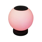 Smart Glass Music Table Lamp D. 25 BT2502401-1L