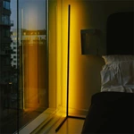 Smart Corner RGB Floor Lamp BGL LDD01-1