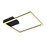 Modern Simple Style Ceiling Lamp 40cm PZ51001-20