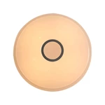 Remote Control LED Ceiling Lamp D. 40CM