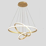 Circle-Shaped Combination Pendent Light Eu5147