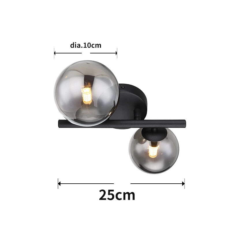 Glass Smoke Metal Black Matte Ceiling Lamp Wtith 2 Heads