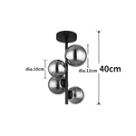 Glass Smoke Metal Black Matte Ceiling Lamp Wtith 4 Heads