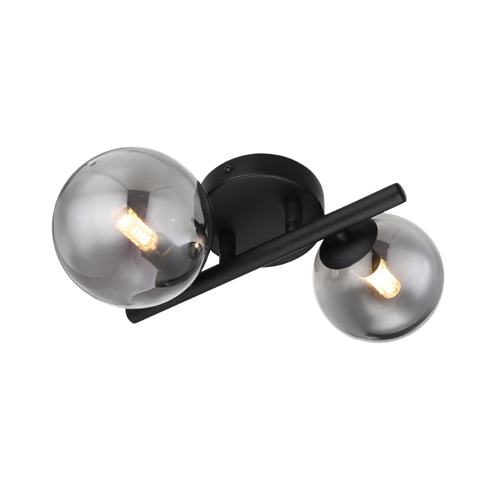 Glass Smoke Metal Black Matte Ceiling Lamp Wtith 2 Heads