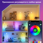 Joystar 10m 4848 RGB Remote and Bluetooth APP Control Smart LED Strip Light TZDD-02
