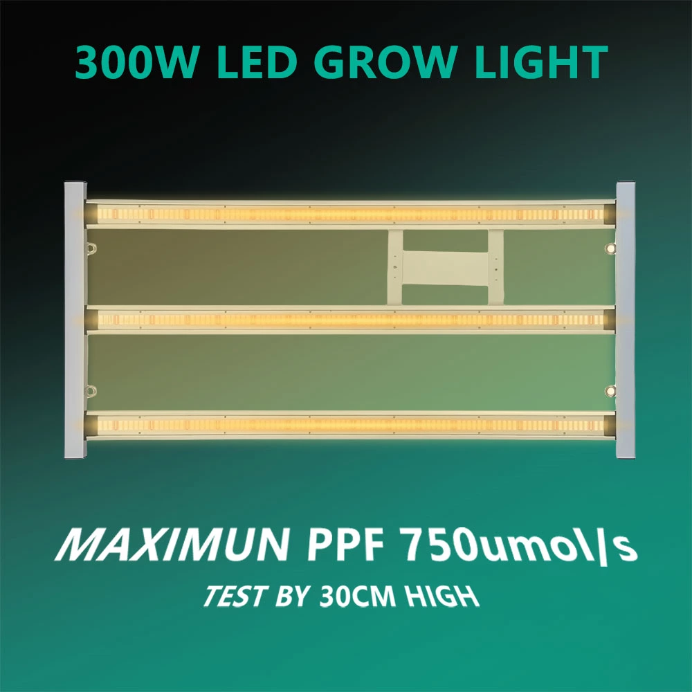 Joystar 200W LED Grow Light 35*35*70inch （90x90x180cm） Grow Tent Complete Set PHT-4