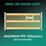 Joystar 200W LED Grow Light 35*35*70inch （90x90x180cm） Grow Tent Complete Set PHT-4