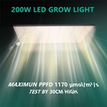 Joystar 200W LED Grow Light 35*35*70inch （90x90x180cm） Grow Tent Complete Set PHT-3