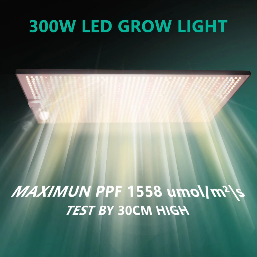 Joystar 300W LED Grow Light 47*47*78inch （120x120x200cm） Grow Tent Complete Set PHT-5