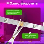 Joystar 10m 4848 RGB Remote and Bluetooth APP Control Smart LED Strip Light TZDD-02